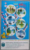 2005LichFApcTr.JPG (33640 バイト)