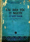 CacDanTocItNguoiPhiaNam.jpg (30812 バイト)
