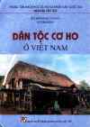 DanTocCoHoOVN.jpg (26087 バイト)