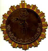 medalSport.JPG (10438 バイト)
